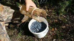 как сделать комбайн для сбора черники из пластиковой бутылки Kak Sdelat Kombajn Dlya Sbora Cherniki Tehnika I Spectehnika V Podrobnostyah
