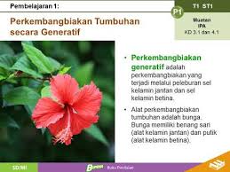 Maybe you would like to learn more about one of these? Bupena 6a Tema 1 Subtema 1 Pb 1 Youtube