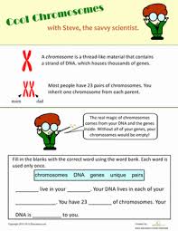 What Is A Chromosome Worksheet Education Com Chromosome Biology Worksheet Dna Worksheet
