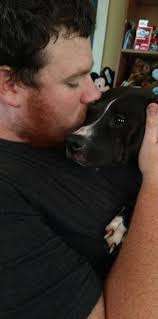 Doodles provide comfort in difficult times