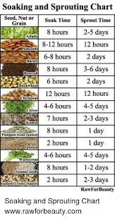 soaking and sprouting chart seed nut or soak time sprout