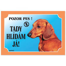 Image result for jezevčík hladkosrstý