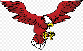 Pria ini selamatkan seekor elang yang sekarat, tak disangka begini cara elang membalas budi. 108 Gambar Burung Elang Merah Terbaik Gambar Hewan