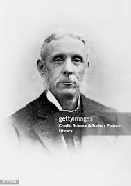 455 Evelyn Light Photos & High Res Pictures