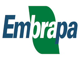 Resultado de imagem para embrapa
