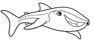 In this finding dory coloring speed art video, we're coloring destiny the whale shark. How To Draw Destiny From Finding Dory Step By Step Drawing Guide By Dawn Dragoart Com