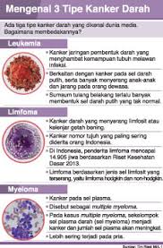 Ini adalah peningkatan sel darah putih yang disebut neutrofil. Kenali Leukemia Dan Jenis Kanker Darah Lainnya