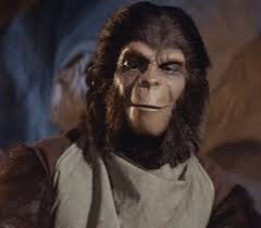 Wright King As Dr Galen In Planet Of The Apes 1968 Http Archives Of The Apes Blogspot Co Uk Planetoftheapes Planet Of The Apes Plant Of The Apes Apes
