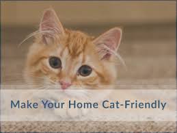 Press question mark to learn the rest of the keyboard shortcuts Bronte Village Animal Hospital Your Oakville Veterinarian New Cat Owner Guide Bronte Village Animal Hospital Your Oakville Veterinarian
