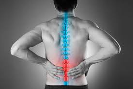 The bones of the back, together, make up the vertebral column. Lumbar Pain Lower Back Pain Bones Mount Elizabeth Hospitals