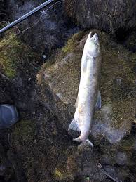 1,985 likes · 8 talking about this. Cg3iy Xd69znm