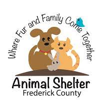 Maybe you would like to learn more about one of these? Pets For Adoption At Frederick County Animal Control In Frederick Md Petfinder