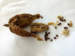 Image result for Aframomum corrorima