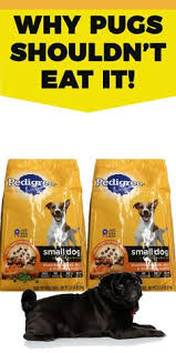 Nutro wholesome essentials puppy food. 47 Best Pug Accessories Ideas Pug Accessories Pug Clothes Pug Toy