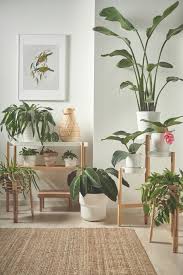 Mit Pflanzen Dekorieren Natur Fur Dein Zuhause Wohnzimmer Pflanzen Pflanzen Zimmer Tumblr Zimmer Gestalten