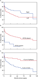 Jangan lupa membaca update manga lainnya ya. Improved Outcomes With Earlier Surgery For Intractable Frontal Lobe Epilepsy Simasathien 2013 Annals Of Neurology Wiley Online Library