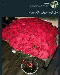 كلمات حب عن الورد الاحمر aiqtabas blog