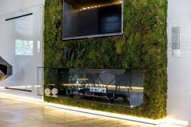 There are even diy stuffs that you can create too. Benefits Of Accent Wall Design With Moss Stunning Green Ideas For Modern Interiors
