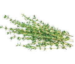What does thyme look like: Thyme Bbc Good Food
