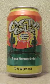 Using one hand to steady the top of the columnar cactus, make a clean cut with sharp clean knife. Soda Can Collection Cactus Cooler Ahhh My Childhood Canning Vintage Recipes The Good Old Days