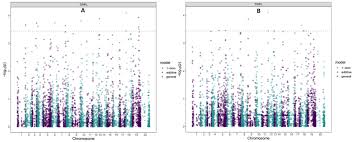Image result for Dioscorea praehensilis