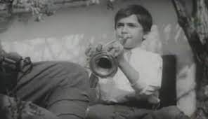 1970 regia radu gabrea cu gheorghe cozorici, mihai filip, mircea albulescu gen film dramă,război. Prea Mic Pentru Un Razboi Atat De Mare National Tv Mai Ceva Ca N Viata