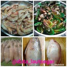 Omer halisdemir / omer halisdemir kimdir 15 temmuz sehidi. Kuliner Purwokerto On Twitter Buat Yg Lagi Nyari Udang Cumi Kerang Dan Ikan Laut Yg Masih Segar Dgn Harga Murah Disini Niih Tempatnya Duta Lautsegar Menerima Pesenan Dgn Partai Besar Dan Eceran Siap