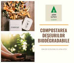 Ploile au făcut ravagii în bucurești și ilfov. Ora De Ecologie Cu Apm Ilfov Ministerul Mediului Romania ÙÙŠØ³Ø¨ÙˆÙƒ