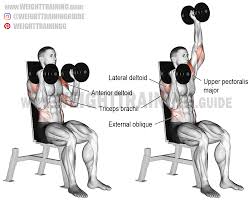 Seated Elbows In Alternating Dumbbell Overhead Press Entrainement Musculation Musculation Cuisse Epaules Musculation