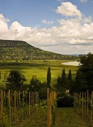 Badacsony Hungria Ungarn Plattensee Ungarn Balaton