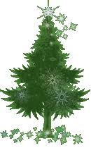 Wholesale christmas trees since 1972. Helvetia Christmas Tree Farm Home