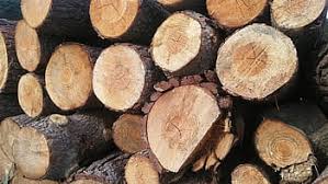 Find great deals on free in indianapolis, in on offerup. Page 14 Royalty Free Wood Fuel Photos Free Download Pxfuel