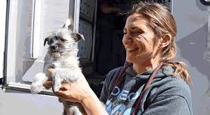 Maybe you would like to learn more about one of these? Start Rescue Partners In Pacific Northwest Animal Transport Program Start Rescue