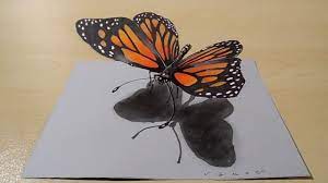 How to draw a 3d stairs with hole. Drawing Awesome 3d Butterfly Illusion On Paper Vamos 3d Art Drawing Butterfly Drawing Drawings Easy Animal Drawings