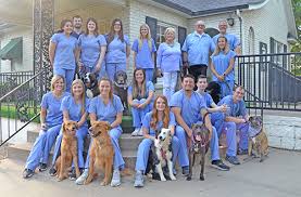 Check spelling or type a new query. Stanton Animal Hospital Fayetteville Ar 72703