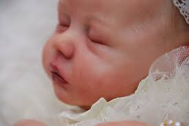 Delilah by Joyce Angel from Angels Nursery