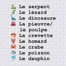 Pin On French Language Aids Mostly From Facebook