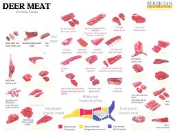 pork color cuts chart poster cuts chart