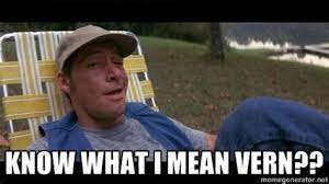 Maybe you would like to learn more about one of these? You Know What I Mean Vern Memes