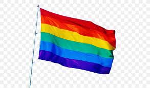Here you can explore hq pride flag transparent illustrations, icons and clipart with filter setting like size, type, color etc. Rainbow Flag Png 611x481px Rainbow Flag Flag Pansexuality Pride Parade Queer Download Free