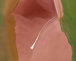 Modern & Contemporary Art Day Sale, Morning Session [catalogue] by PHILLIPS  - Issuu