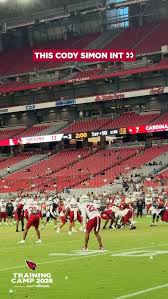 Arizona Cardinals (@azcardinals) · Tempe, AZ - Instagram