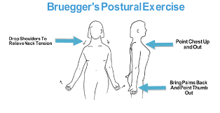 Improving your posture is important for looking good. Exercises To Improve Posture Wizard Of Health