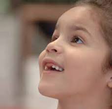 ANNUAL REPORT 2008|2009