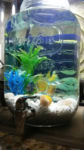 Taking care of betta fish. My Updated 2 Gallon Beverage Dispenser Aquarium Complete With Penn Paxx Small World Filter Aerator Under Gra Diy Fish Tank Small Fish Tanks Betta Fish Tank