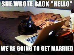 And It S Never True Funny Pictures Funny Cat Memes Funny Cat Pictures