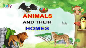 Some animal homes are quite the animals mentioned above and their shelters give you an overview of different types of animal homes. Animals And Their Home Names For Kids In English Animal Homes Homes Of Animals And Birds Youtube