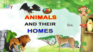 How do you refer to a group of goldfish or a gathering of butterflies? Animals And Their Home Names For Kids In English Animal Homes Homes Of Animals And Birds Youtube