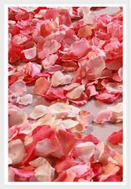 We did not find results for: Silk Rose Petals Freeze Dried Rose Petals Petal Garden