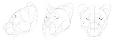 To draw a cartoon cat, draw an oval for the body and a circle for the head, including a cross on the circle to guide you when drawing the face. How To Draw A Big Cat Head Monika Zagrobelna